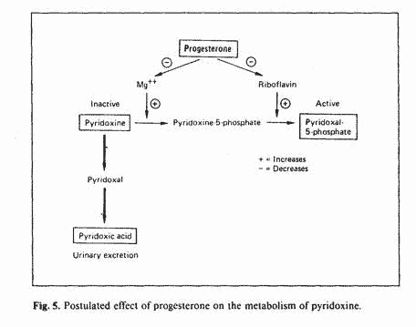 Guy Abraham Figure 5